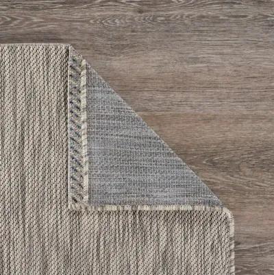 2' X 3' Indoor / Outdoor Area Rug - Gray