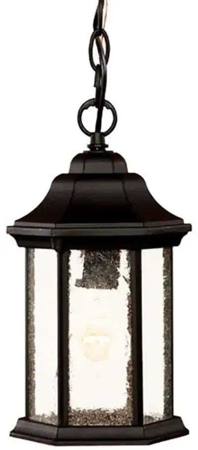 Textured Glass Lantern Hanging Light - Antique Black