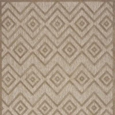 5' X 7' Argyle Indoor / Outdoor Area Rug - Natural Beige