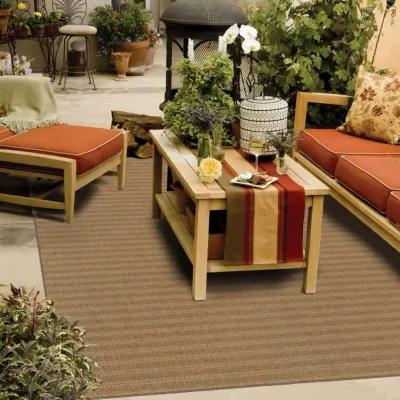 2' X 4' Striped Stain Resistant Indoor / Outdoor Area Rug - Tan