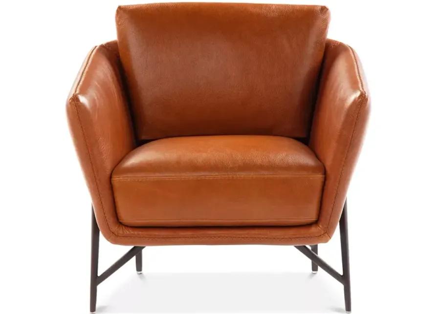 Giuseppe Nicoletti Vittorio Chair