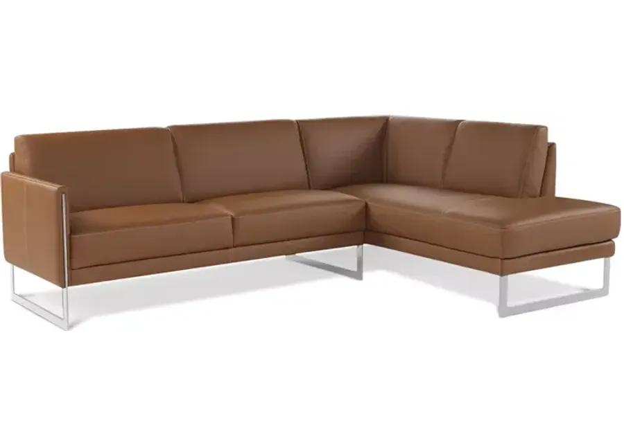 Giuseppe Nicoletti Coco Leather Sectional - 100% Exclusive