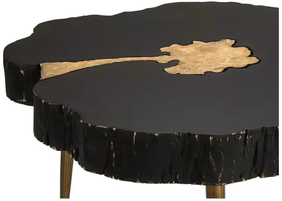 TOV Furniture Timber Black and Brass Coffee Table