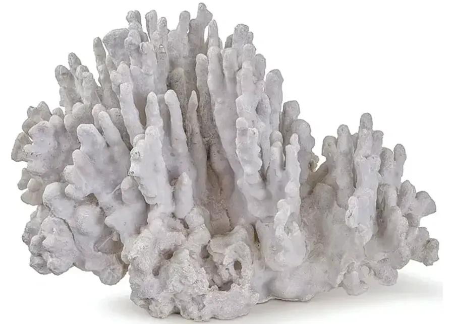 Regina Andrew Design Coral Art Piece, Large