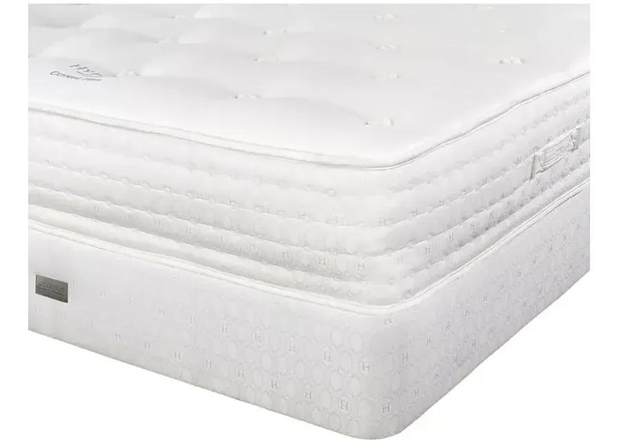 Hypnos Nature's Reign Covent Firm California King Mattress - 100% Exclusive  