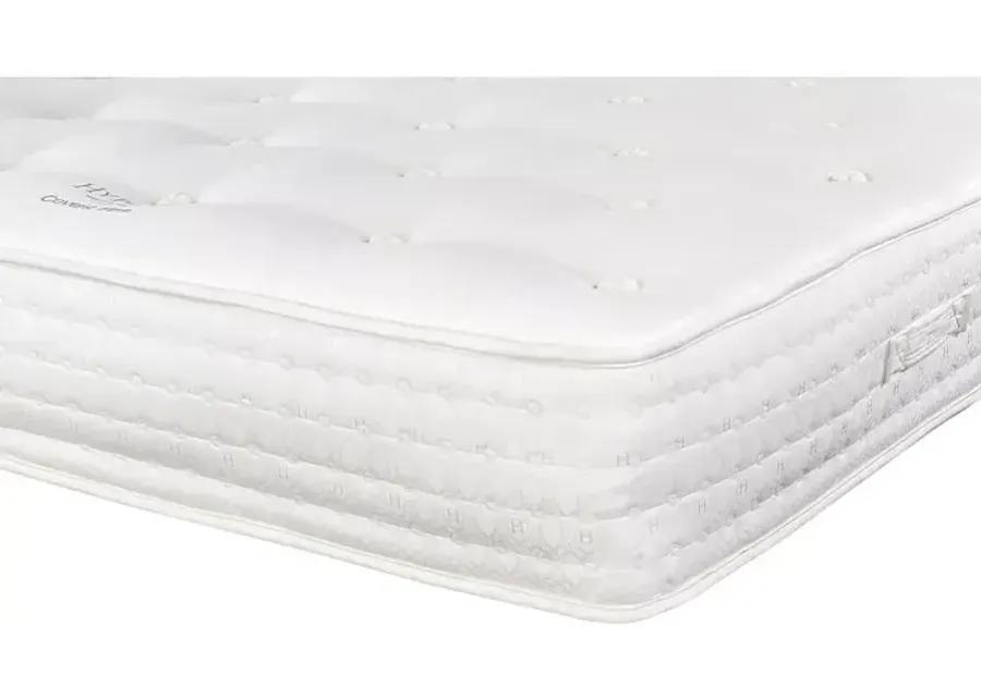 Hypnos Nature's Reign Covent Firm California King Mattress & 9" Box Spring Set - 100% Exclusive