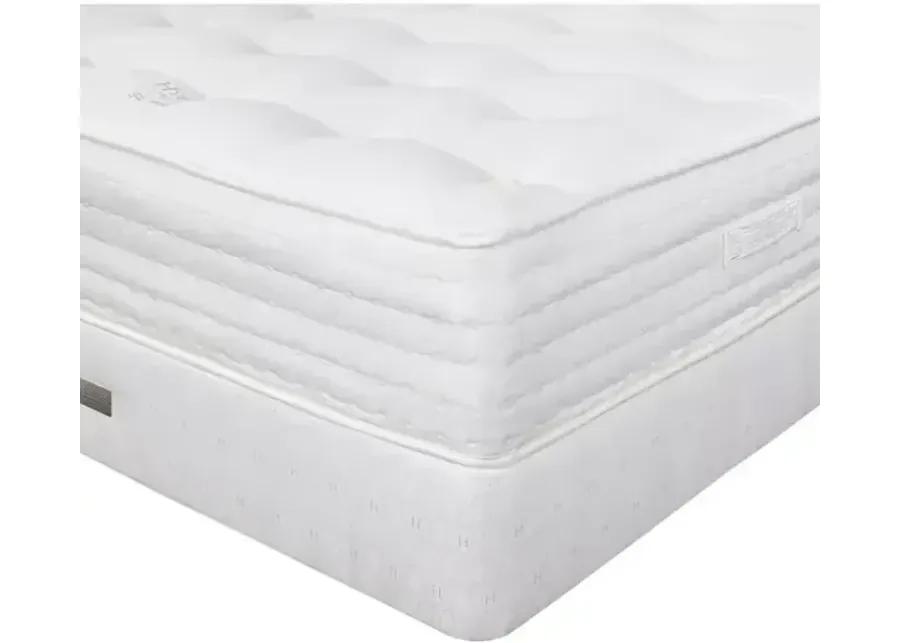 Hypnos Nature's Reign St. Paul Medium Firm King Mattress & 9" Box Spring Set - 100% Exclusive