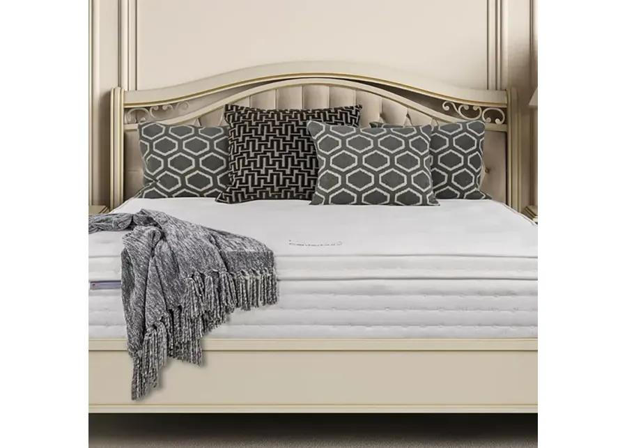 Hypnos Nature's Reign Canterbury Plush King Mattress & Standard Box Spring Set - 100% Exclusive