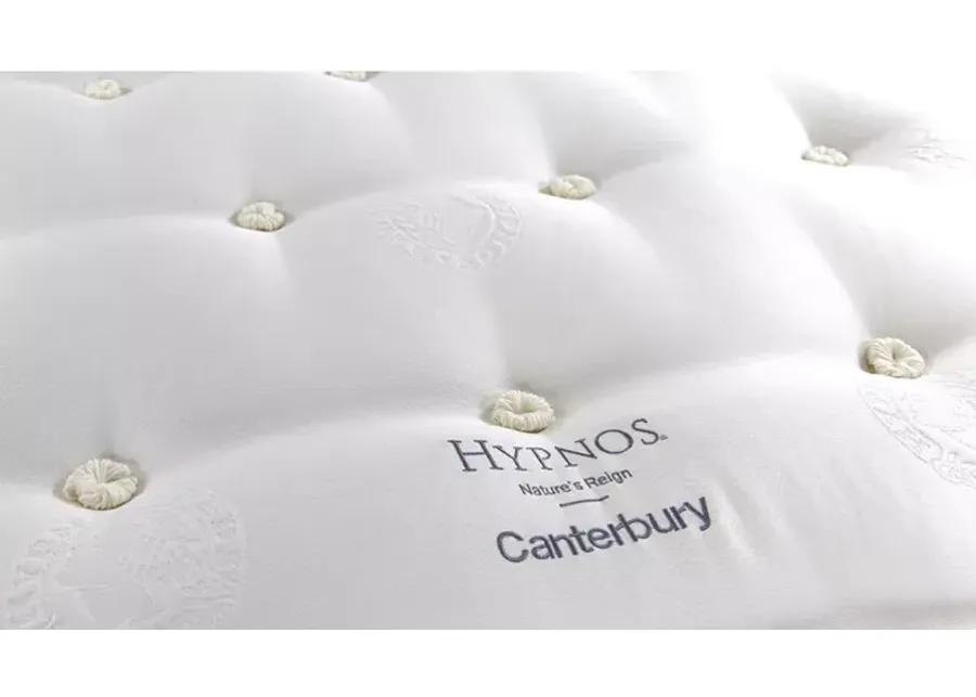 Hypnos Nature's Reign Canterbury Plush California King Mattress & Standard Box Spring Set - 100% Exclusive