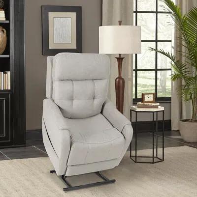 Merino Steel Power Headrest Power Lift Recliner