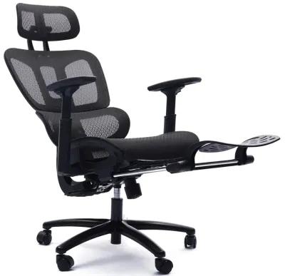 Huxley Office Chair