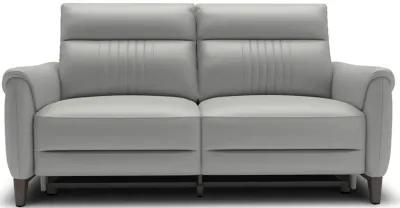 Florida Grey Power Headrest Reclining Loveseat