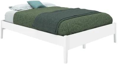 Barrington White Platform Bed