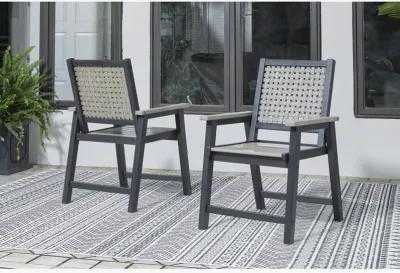 Mount Valley Set of 2 Arm Chairs