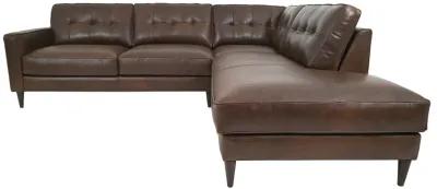 Utah Chestnut 2 Piece Sectional