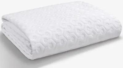 Queen Dri-Tec Mattress Pad