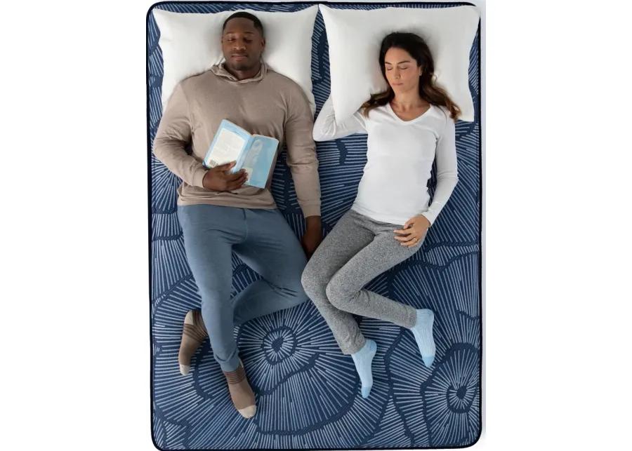 Split King Mattress