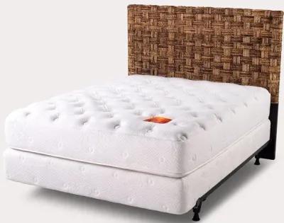 Palmetto Home Banana Coffee Headboard - Queen