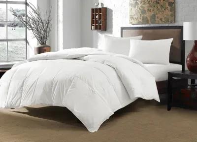 Downlite Dream Naturally® White Down Comforter - Queen