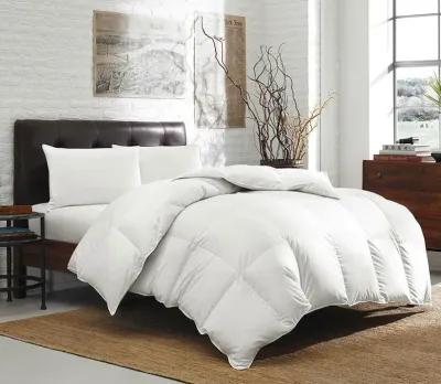 Eddie Bauer White Down Comforter - Queen