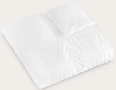 Eddie Bauer White Down Comforter - Queen