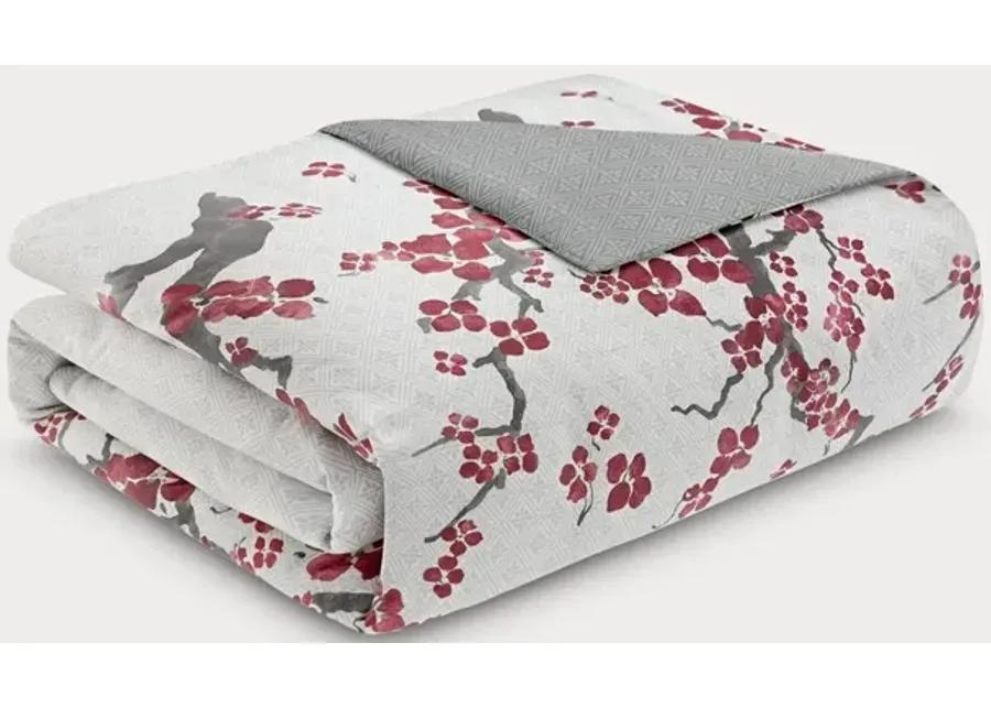 N Natori Cherry Blossom Cotton Sateen 3-Piece Duvet Cover Set