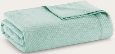 Madison Park Certified Egyptian Cotton Blanket - Blue - Twin