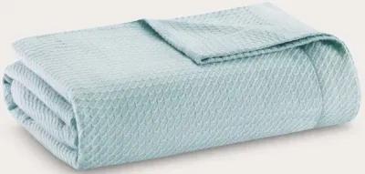 Madison Park Certified Egyptian Cotton Blanket - Blue - Twin