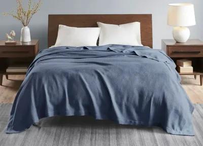 Madison Park Certified Egyptian Cotton Blanket - Blue - Twin