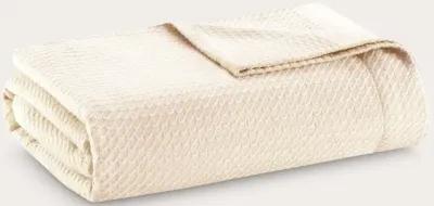 Madison Park Certified Egyptian Cotton Blanket - White - Twin