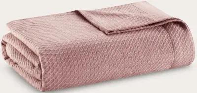 Madison Park Certified Egyptian Cotton Blanket - Rose - King