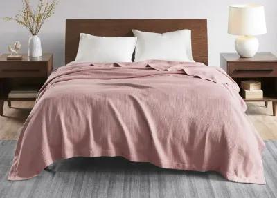 Madison Park Certified Egyptian Cotton Blanket - Rose - King