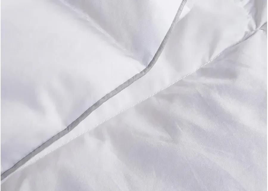 Martha Stewart White Goose Feather and Down Comforter - Twin