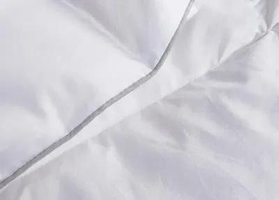 Martha Stewart White Goose Feather and Down Comforter - Queen