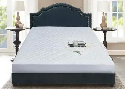 Blue Ridge Home Fashions Blue Ridge Home Damask Dot Cotton Top Mattress Pad - Full