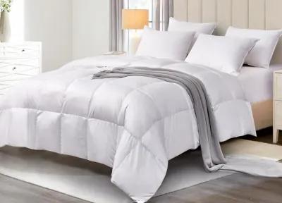 Scott Living All Season White Down Fiber Comforter Light to Medium Warmth - Twin