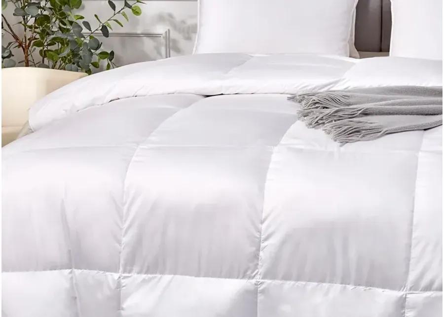 Scott Living Extra Warmth White Down Fiber Comforter - King