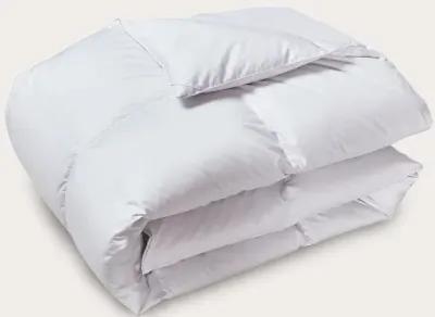 Beautyrest Cotton Sateen Goose Down Comforter - King