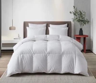 Martha Stewart Tencel Cotton Blend All Season Hungarian Goose Down Comforter - Queen