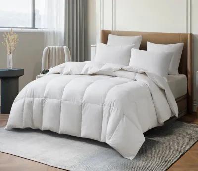 Martha Stewart Tencel Cotton Blend All Season Goose Down Fiber Comforter - Queen