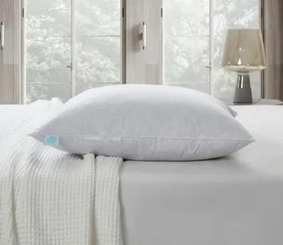 Martha Stewart 233TC Cotton Medium Firm Decorative Square Feather Pillow 2-Pack - Euro