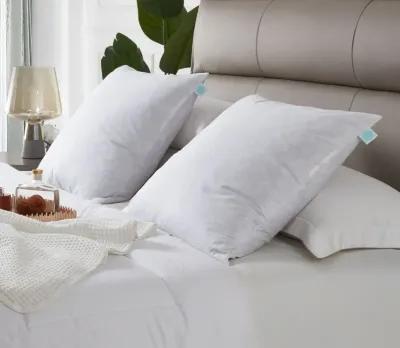 Martha Stewart 233TC Cotton Medium Firm Decorative Square Feather Pillow 2-Pack - Euro