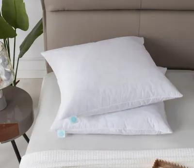 Martha Stewart 233TC Cotton Medium Firm Decorative Square Feather Pillow 2-Pack - Euro