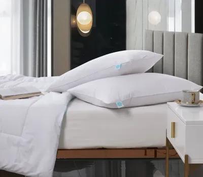 Martha Stewart Cotton Tencel Blend Medium Firm Feather and Down Pillow 2-Pack - Jumbo