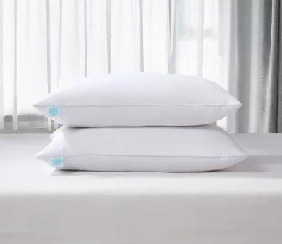 Martha Stewart Cotton Tencel Blend Medium Firm Feather and Down Pillow 2-Pack - King