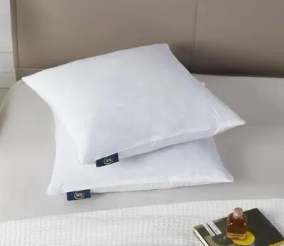 Serta Cotton Medium Firm Decorative Square Feather Pillow 2-Pack - Euro