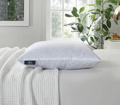 Serta Cotton Medium Firm Decorative Square Feather Pillow 2-Pack - Euro