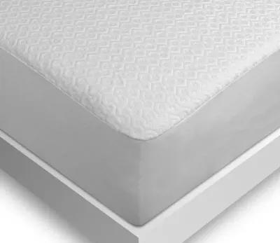 Bedgear Dri-Tec Moisture Wicking Mattress Protector - Twin