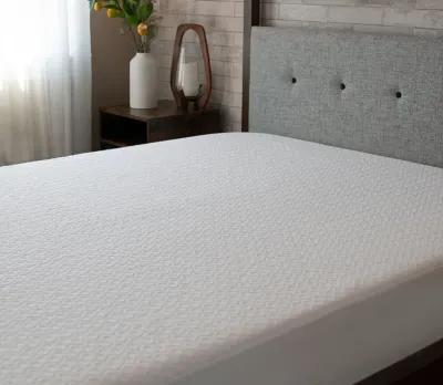 Bedgear Dri-Tec Moisture Wicking Mattress Protector - Queen