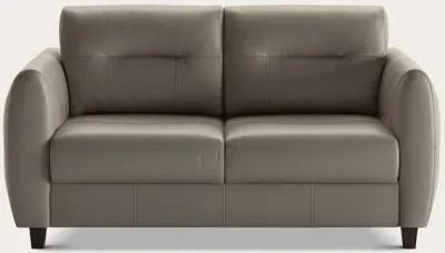 Luonto Jamie Queen Loveseat Sleeper - Grey - Queen